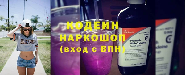 мдпв Новозыбков