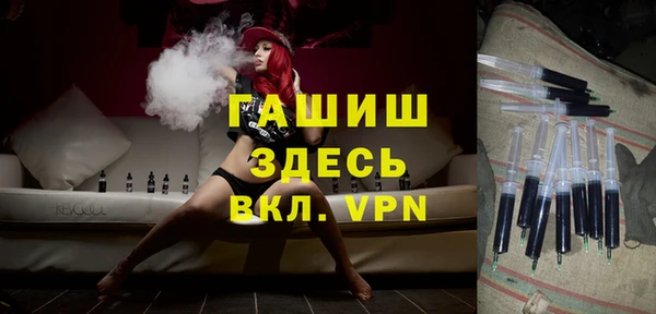 мдпв Новозыбков