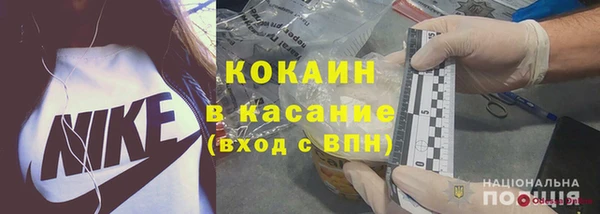 мдпв Новозыбков
