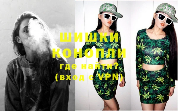 мдпв Новозыбков