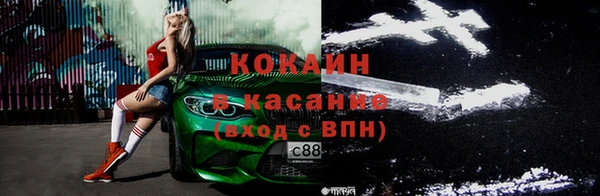 мдпв Новозыбков