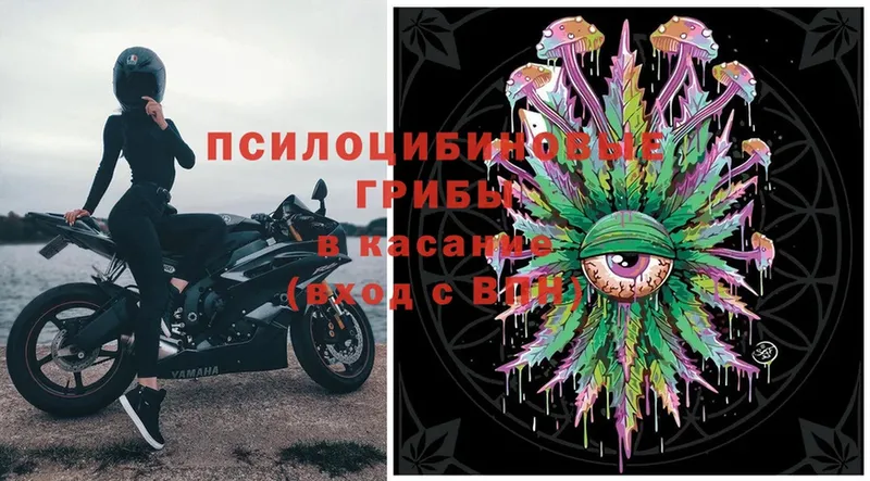 Псилоцибиновые грибы MAGIC MUSHROOMS  Красноуральск 